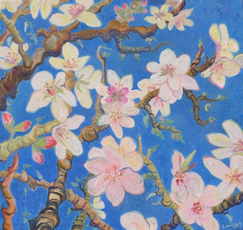 Almond blossom by Kirsty Wain