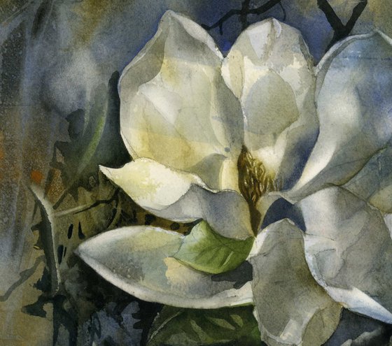 magnolia memory