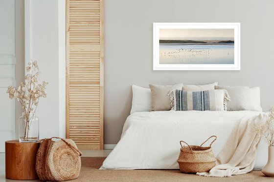 Cormorants, Monomoy - 40x20"