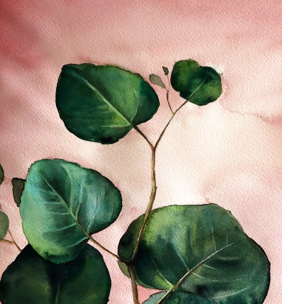 Green Eucalyptus on Pink Background _ ORIGINAL Watercolor Painting - Botanical Art
