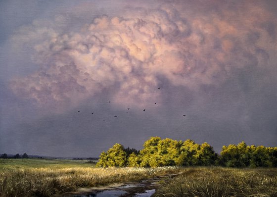 Evening light