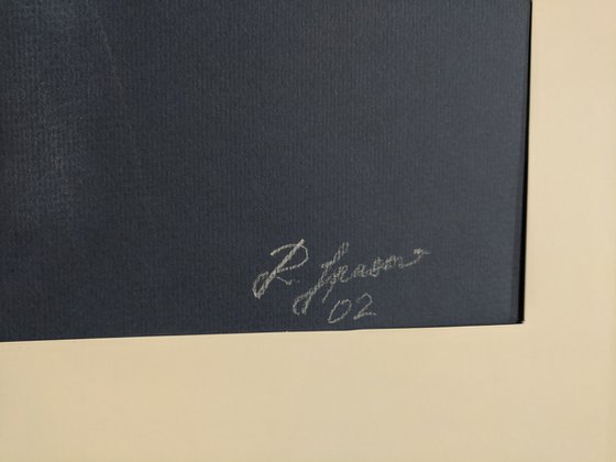 Soft Pastel Drawing.