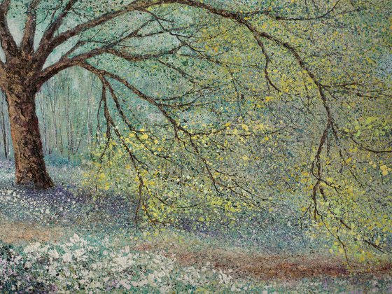 SPRINGTIME ON THE OLD OAK PATH