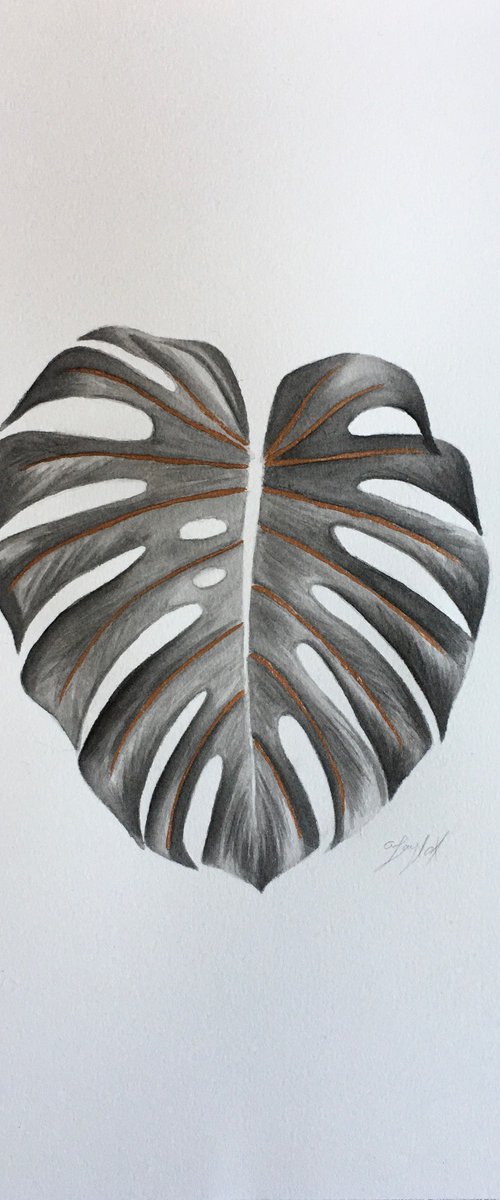 Monstera leaf by Amelia Taylor