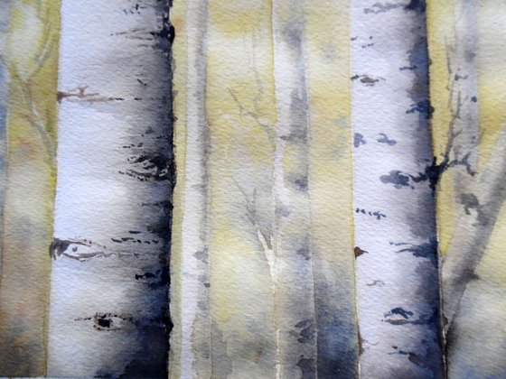 Missing Happiness (Birch Trees) original watercolor