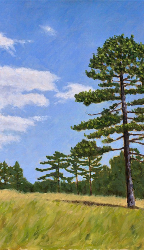 Alone by Dejan Trajkovic