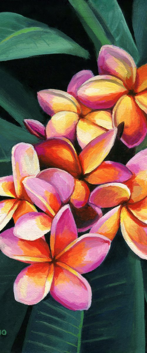 'Hawaii colors' by Lucia Verdejo