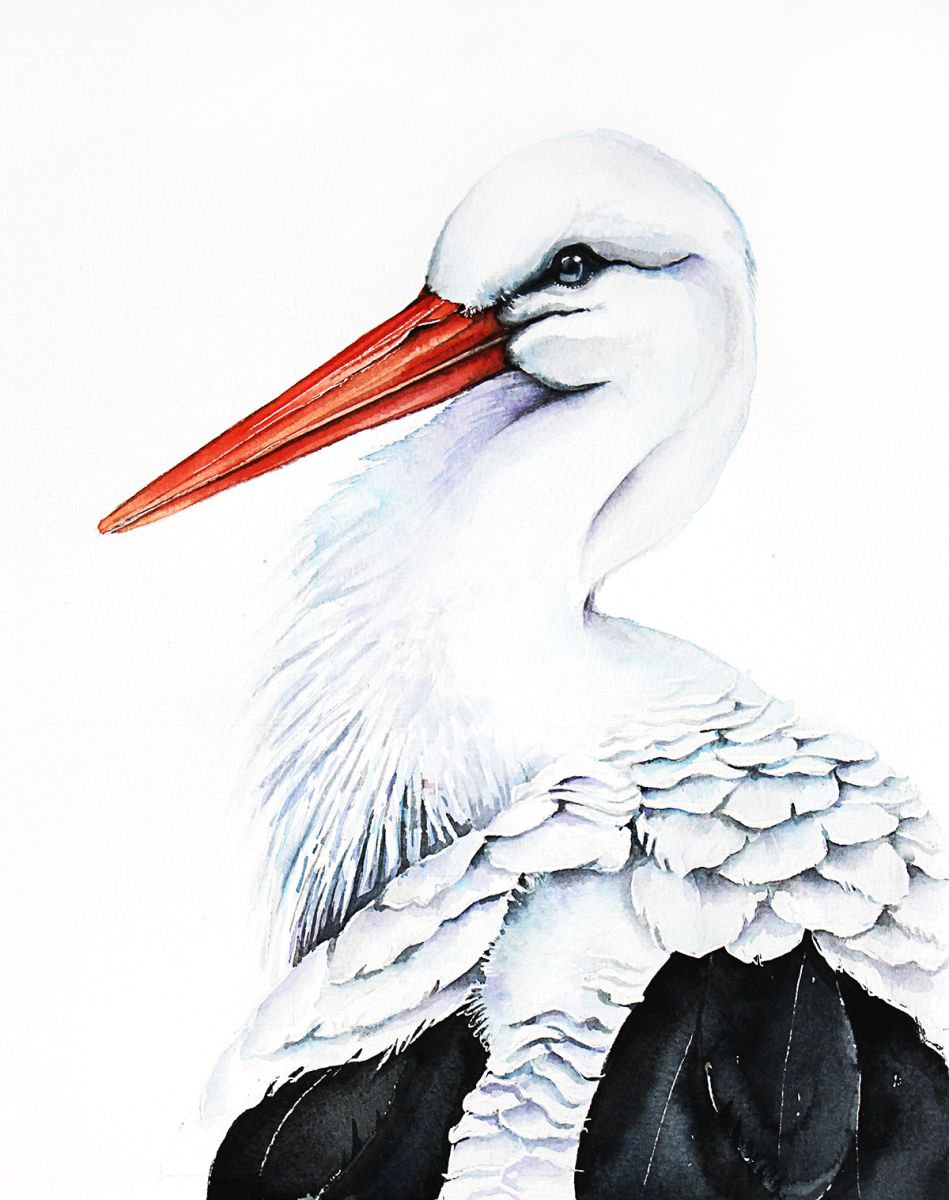 WHITE STORK, bird, birds, animals, wildlife watercolour painting by Karolina Kijak