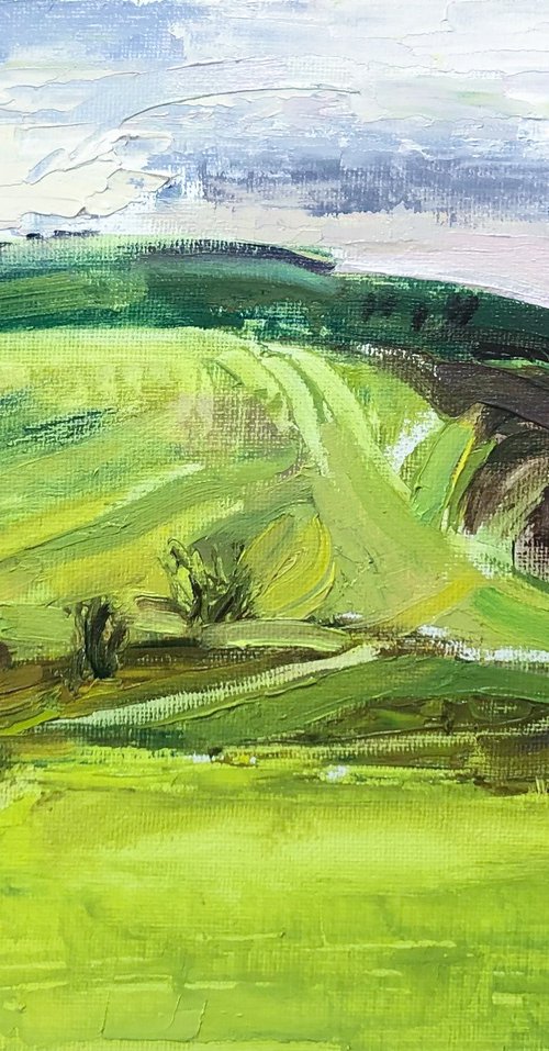 South Downs by Alexandra Morris