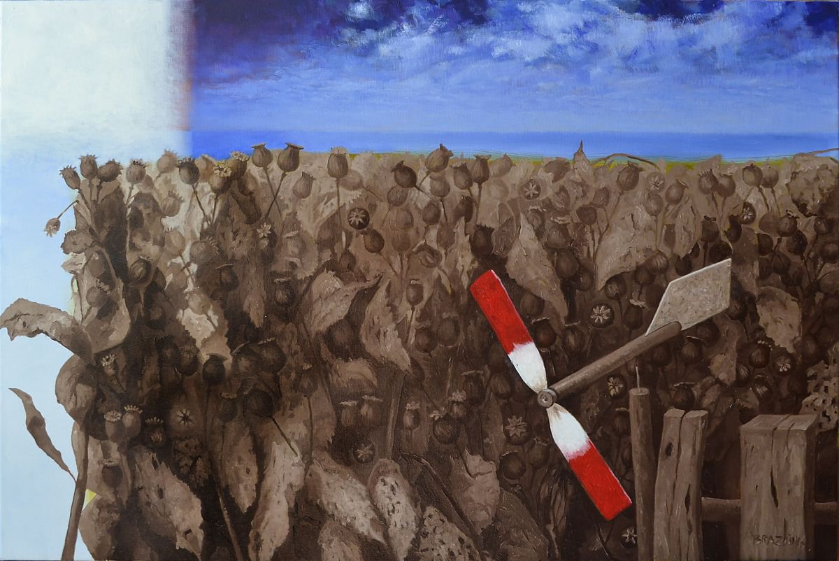 Hide and seek, 90x60cm, poppies oil painting by Arturas  Braziunas