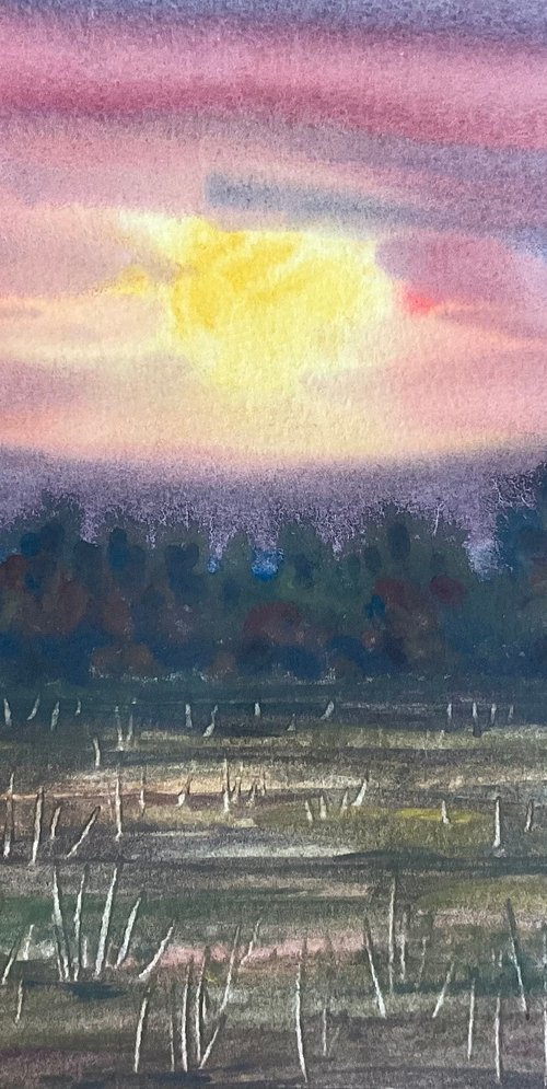 Amethyst sunrise by Samantha Adams