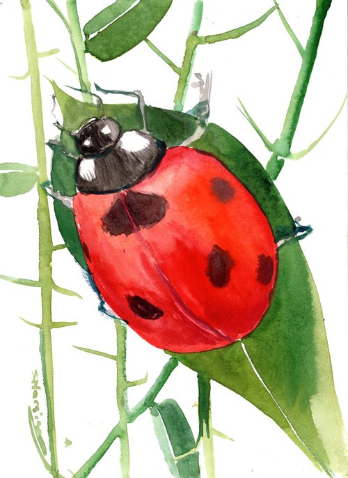 Ladybug by Suren Nersisyan