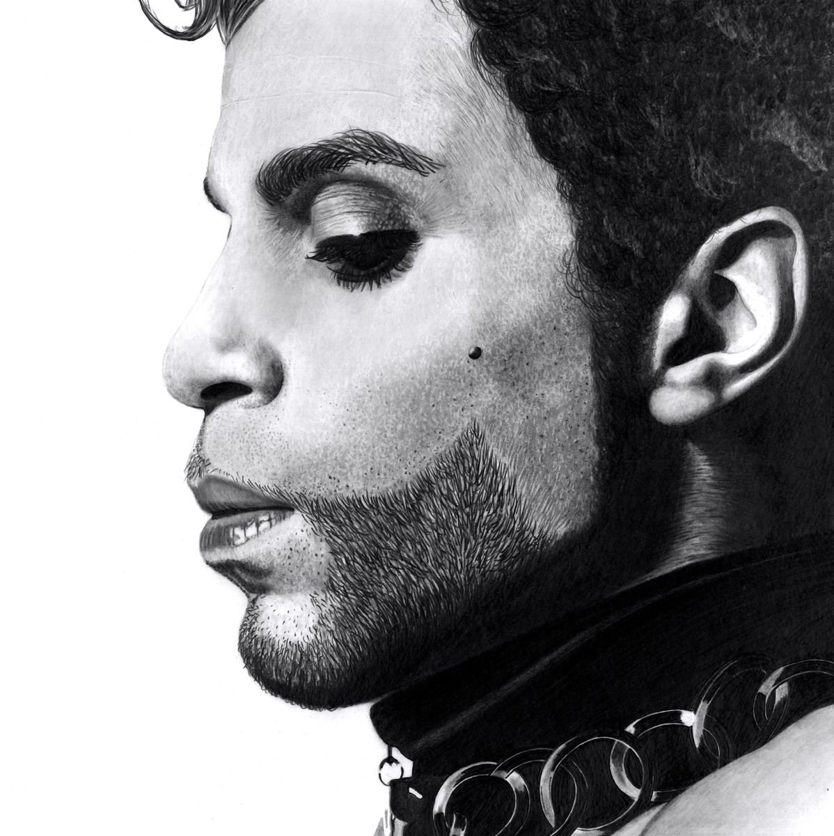 Prince (2018) Pencil drawing by Paul Stowe | Artfinder