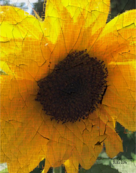 Antique Sunflower