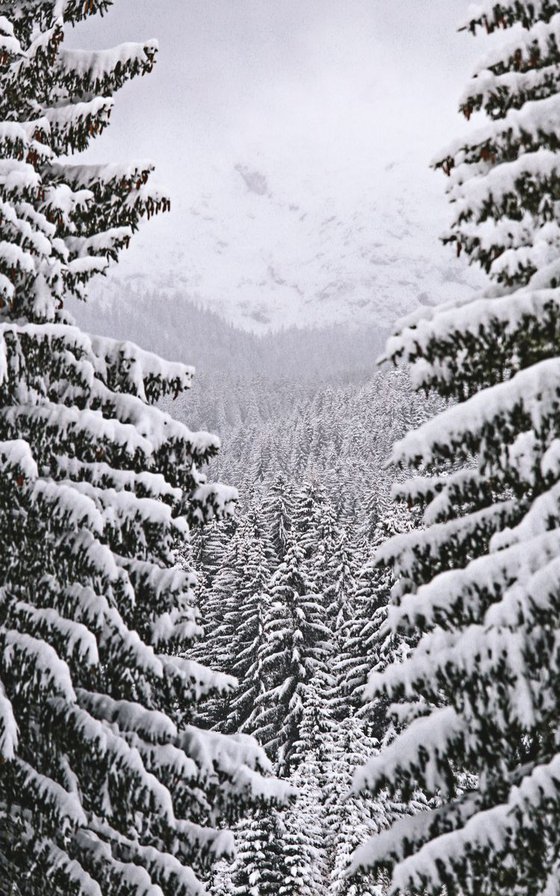 Mountains in winter