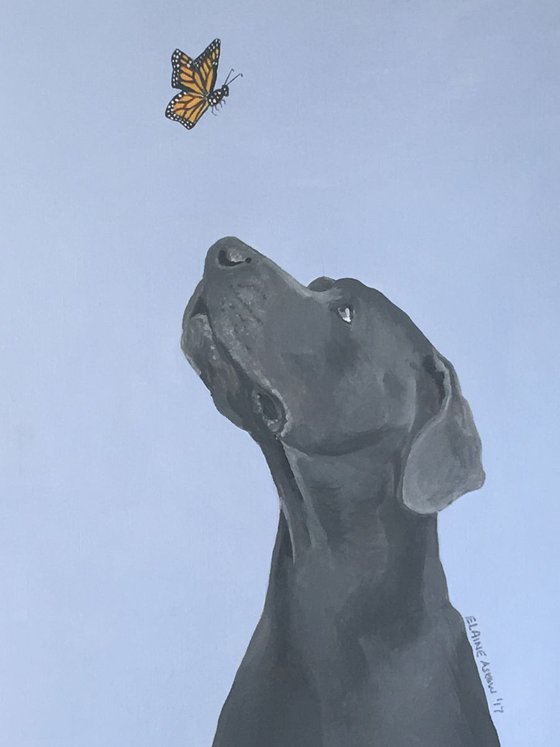 BUTTERFLY AND BLUE GREAT DANE