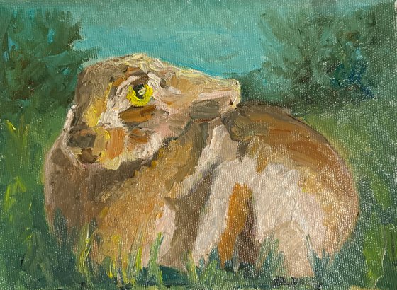 Hare On The Grass