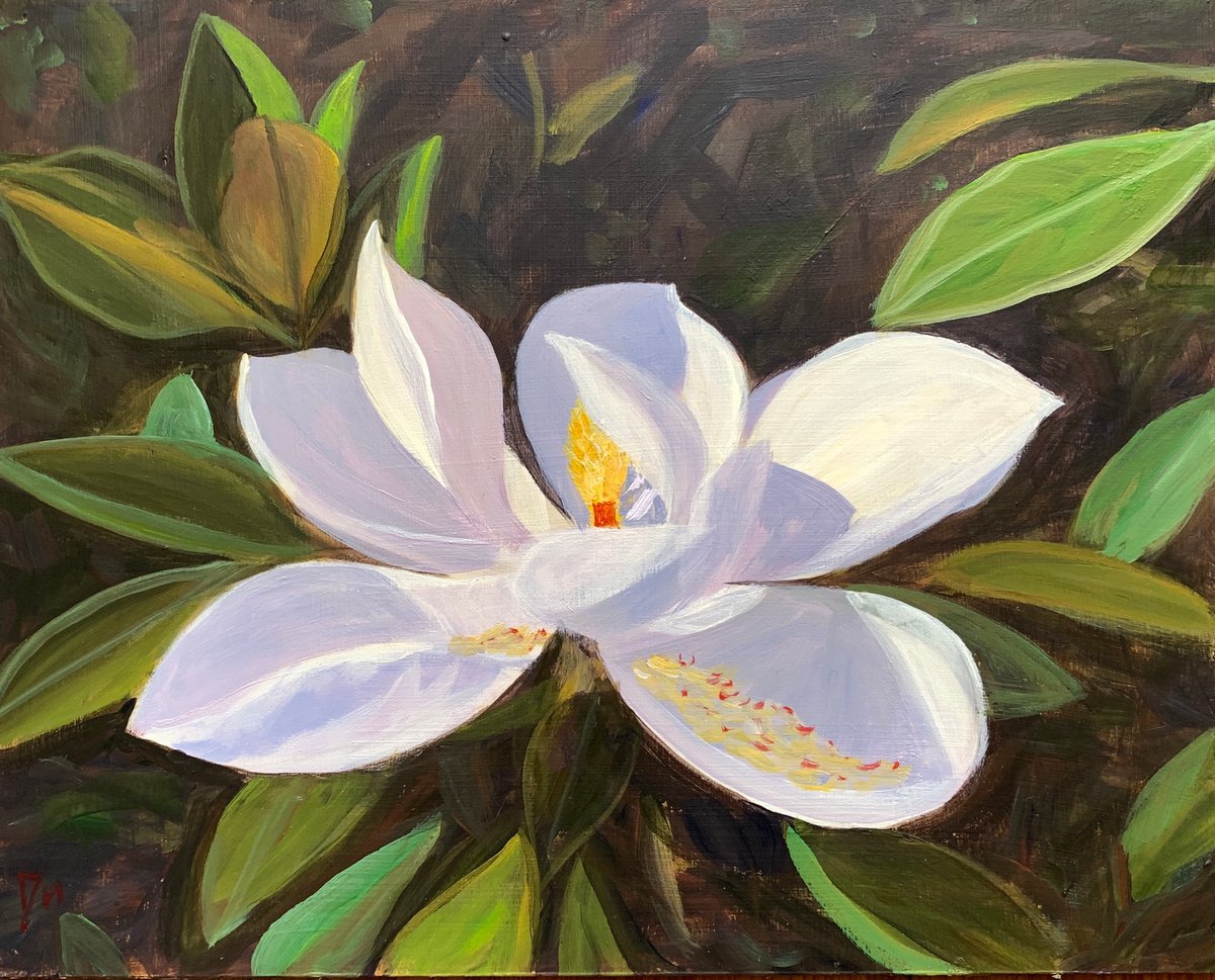 Magnolia by Shelly Du