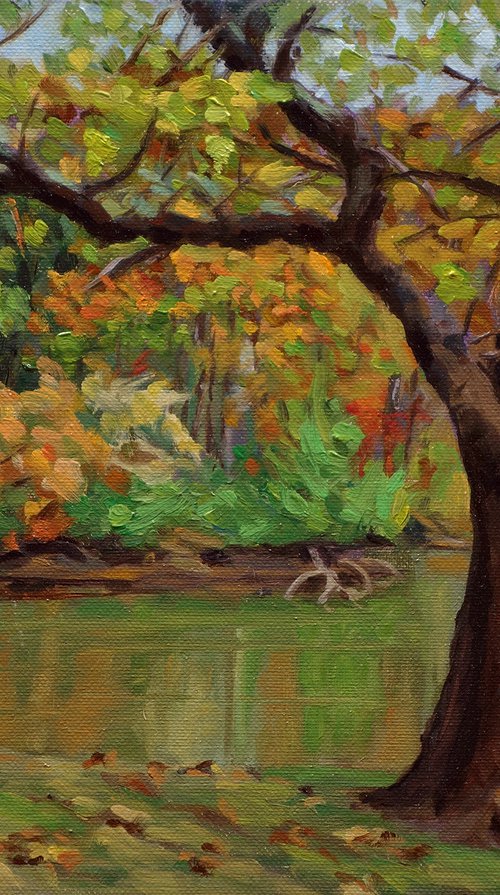 Sunfish Pond II by Daniel Brian Fishback