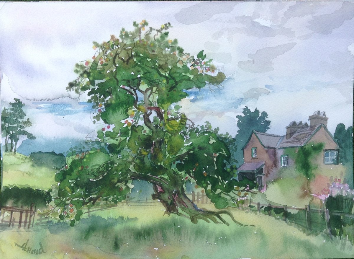 Beatrix Potter Apple Tree by Dmitri Miletskii
