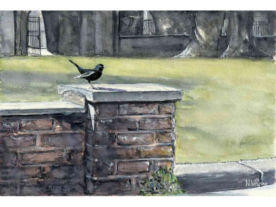 Mr Blackbird - Watercolour Landscape Bird Painting Impressionist Original Art