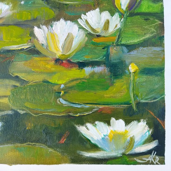 Pond with water Lilies