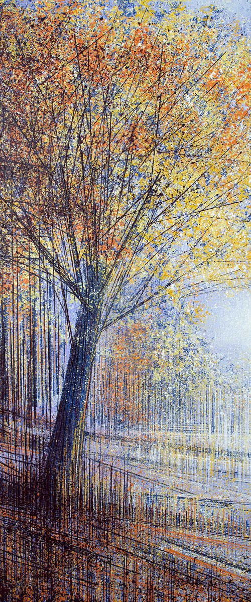 Tree In Evening Light by Marc Todd