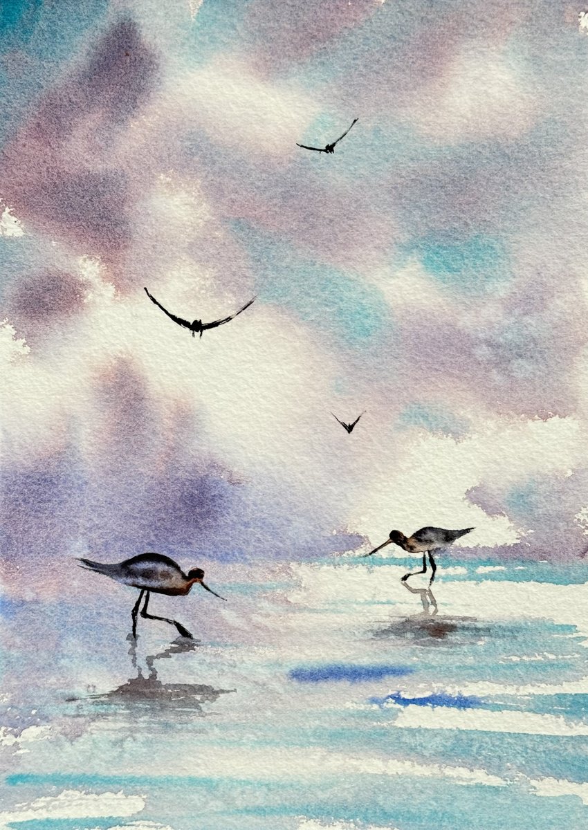 Seascape Wild birds Sunset by Yuliia Sharapova