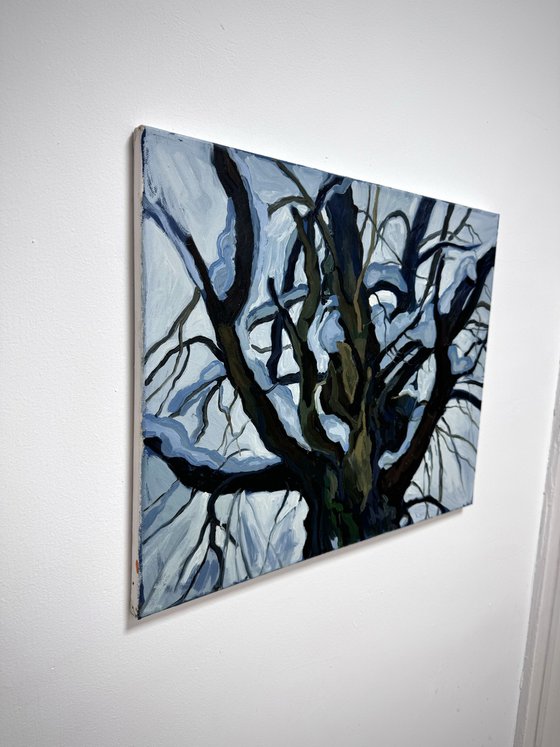 ''Winter landscape''