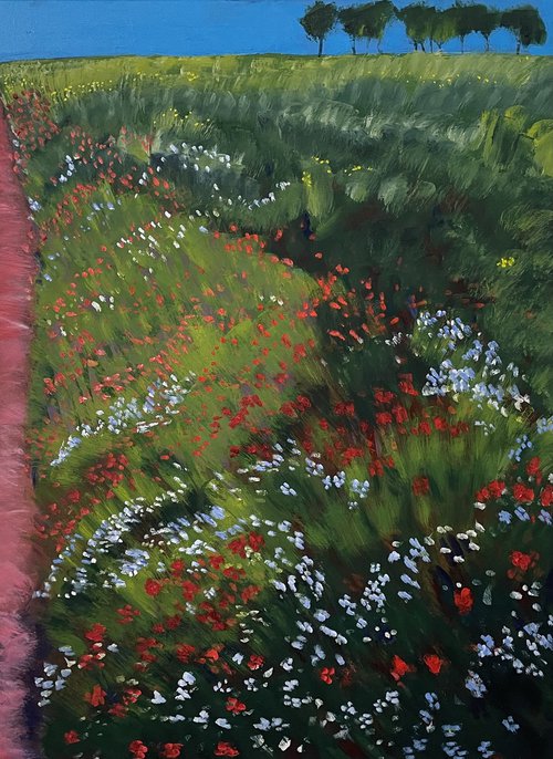 'Wildflowers growing along the edge of a pathway, Fife' by Stephen Howard Harrison