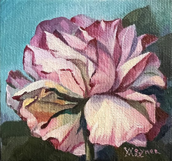 Pink rose. Miniature painting, flower art