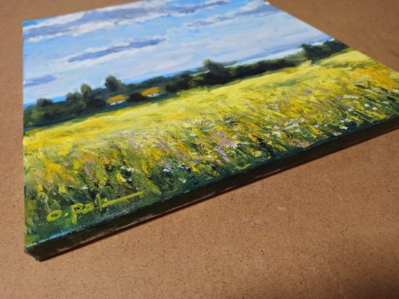 Summer noon