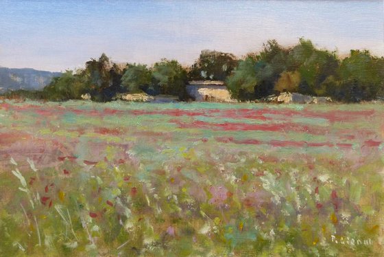 Poppy Field