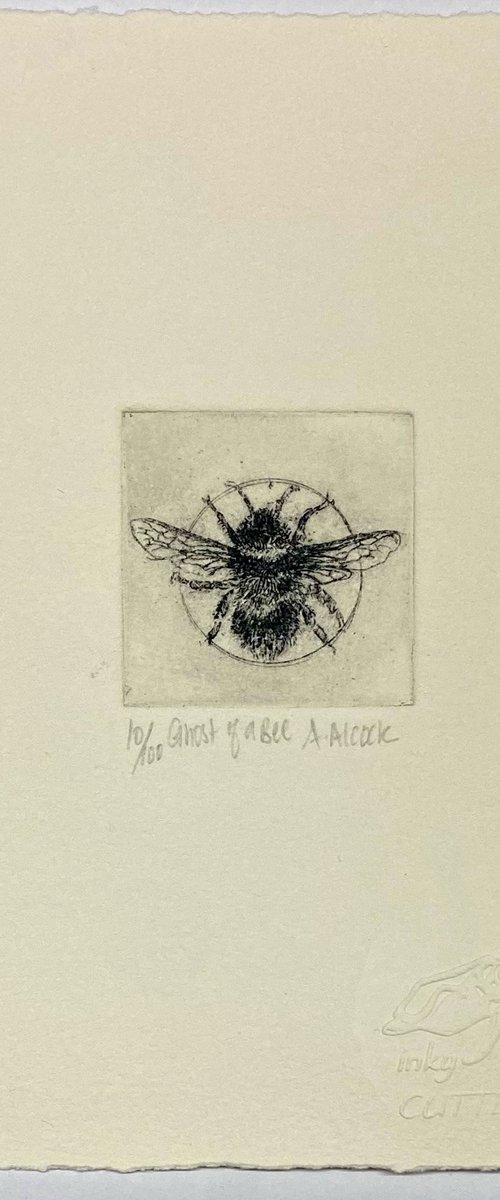 Ghost of a Bee by Anna Alcock