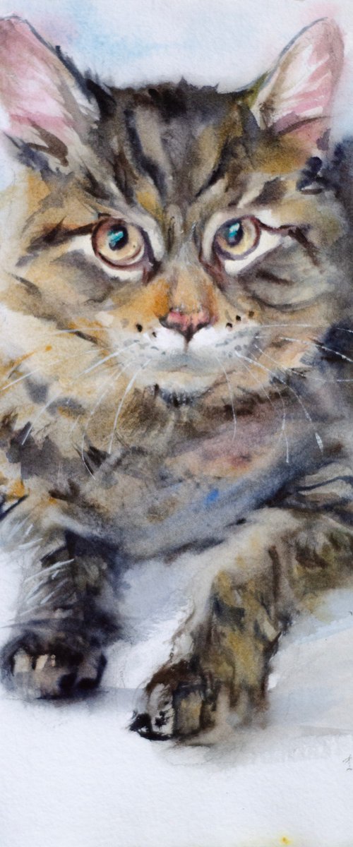 Siberian cat by Irina Bibik-Chkolian