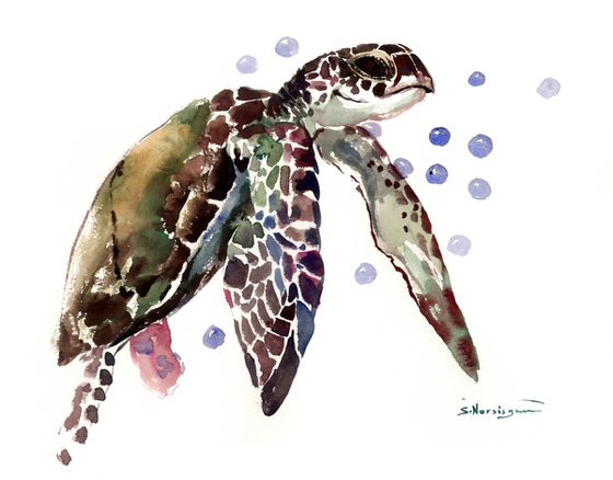 Sea Turtle, watercolor turtle painting