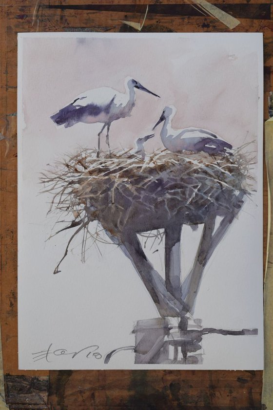 Storks in the nest 3