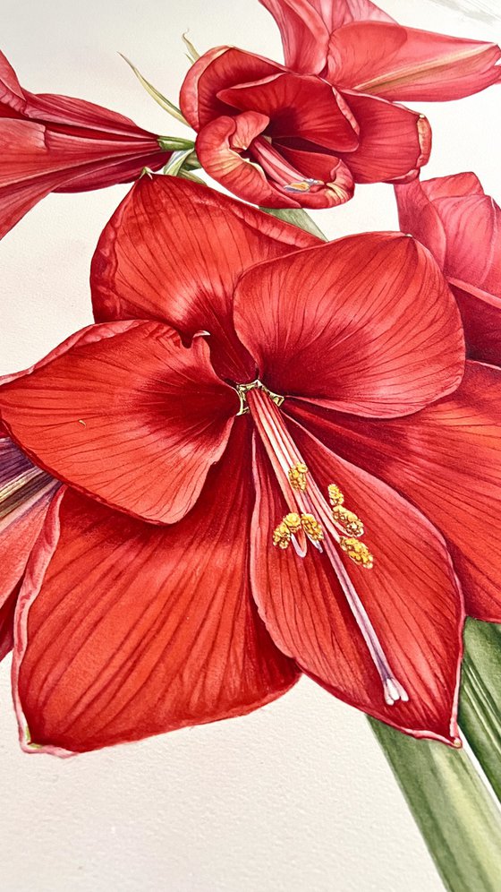 Algorithms of flowering.