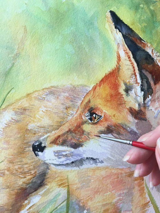 Fox