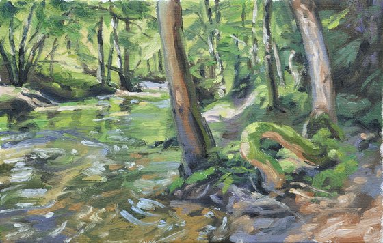 River in the heart of the forest
