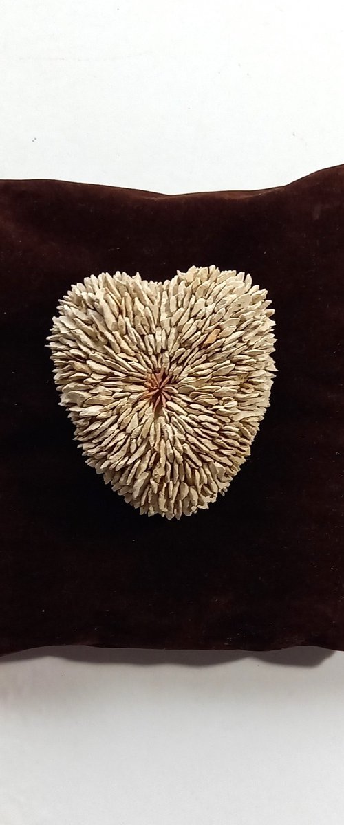 Small heart on a brown pillow by Emanuela Camacci