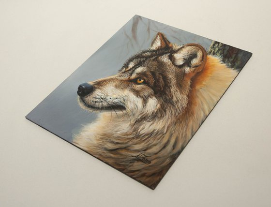 "Wild Gaze" — Grey Wolf Portrait