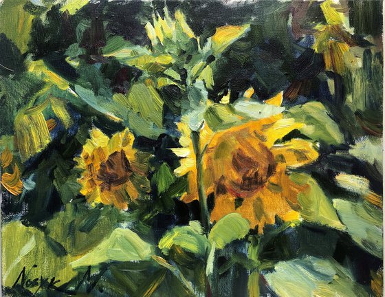 Sunflowers