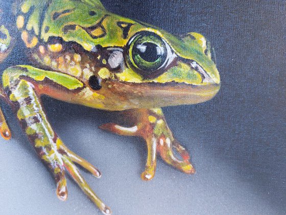 Frog painting,  green frog,  realistic art,  frog art, hyperrealism painting