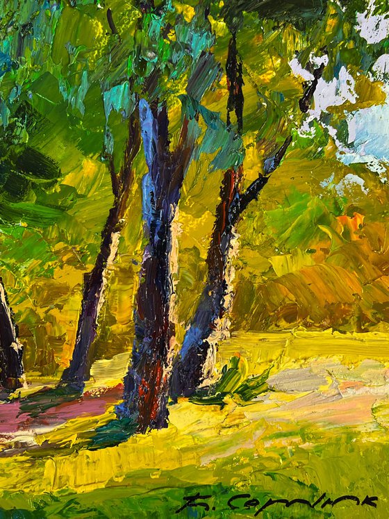Summer Forest Glade
