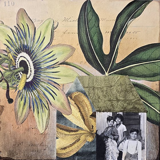Passiflora Miramontes