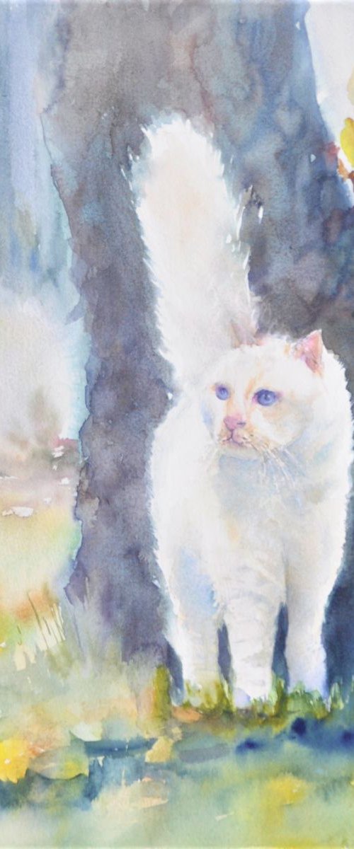WHITE CAT 2018.056  original watercolour 46x32 by Beata van Wijngaarden