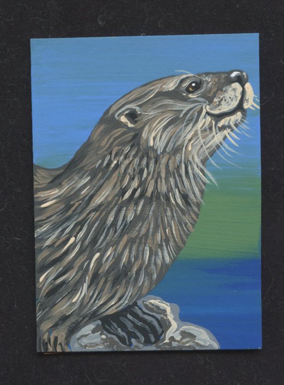 ACEO ATC Original Miniature Painting Otter Wildlife Art-Carla Smale