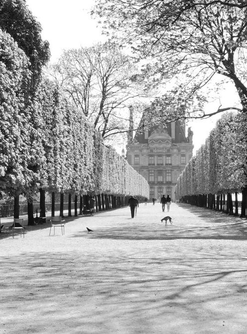 Jardin des Tuileries by Alex Cassels