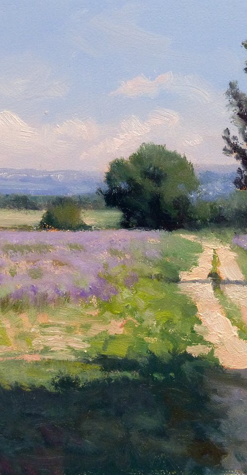 Chemin de la Grande Bastide by Pascal Giroud